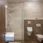 Marin Miler بيت ريفي Prevalje