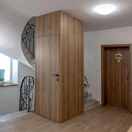 אורחן Marin Miler *