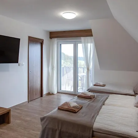 אורחן Marin Miler