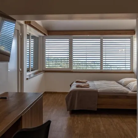 אורחן Marin Miler *